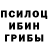 Псилоцибиновые грибы Psilocybe Braeden Daniel