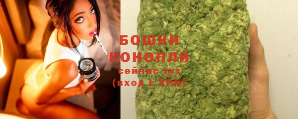 mdpv Бородино