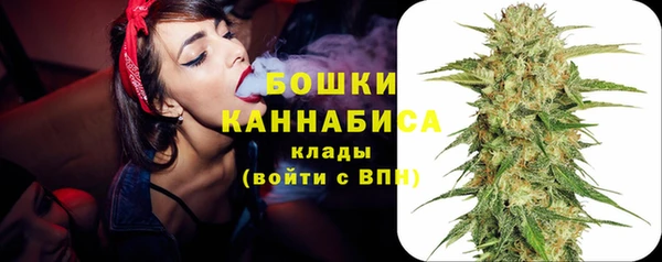 mdpv Бородино