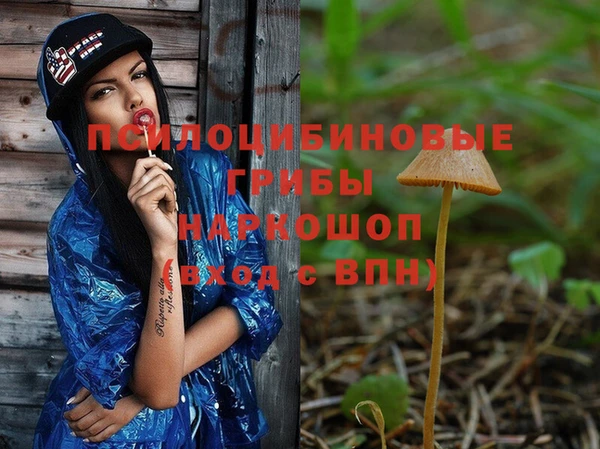 mdpv Бородино