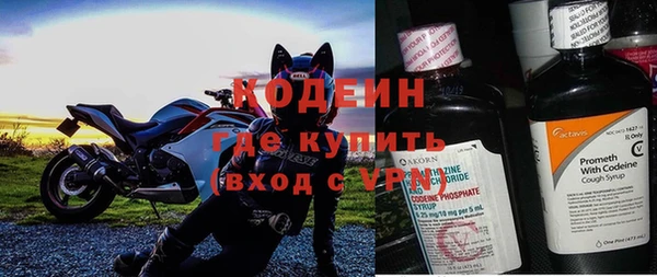 mdpv Бородино