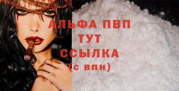 mdpv Бородино