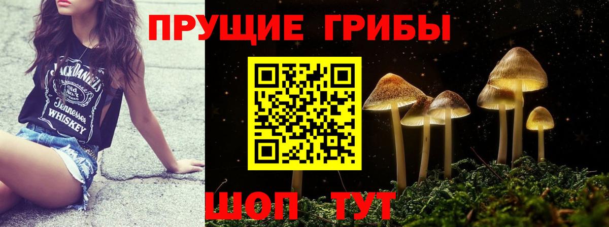 Железногорск  Псилоцибиновые грибы мухоморы  Вход с VPN  Галлюциногенные грибы Cubensis 